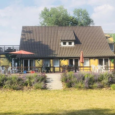 Waldmaries Ferienhaus Feldberg in Mecklenburg Eksteriør billede