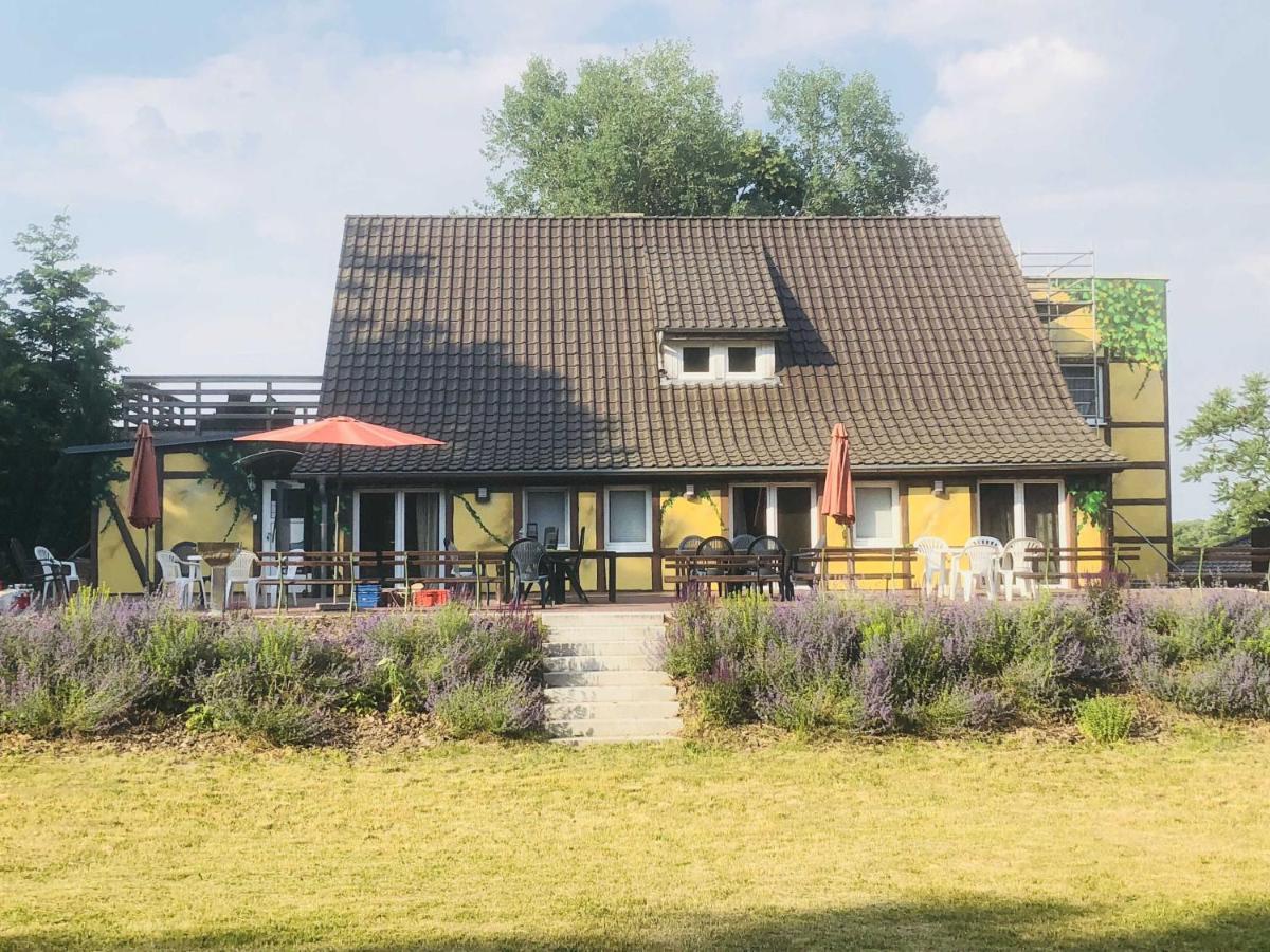 Waldmaries Ferienhaus Feldberg in Mecklenburg Eksteriør billede